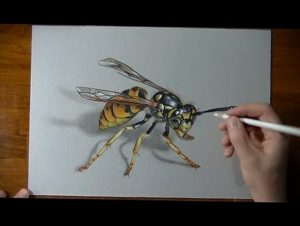 Фотография рисунка татуировки осы, выполненного цветными карандашами, с детальной проработкой крыльев и полосатого брюшка. Рука мастера дорабатывает рисунок.