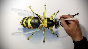 Фотография рисунка татуировки осы, выполненного цветными карандашами, с акцентом на желто-черные полосы и прозрачные крылья. Рука мастера дорабатывает детали.