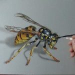 drawing wasp 07.01.2020 №1121 -wasp tattoo sketch- tatufoto.com