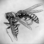 drawing wasp 07.01.2020 №1126 -wasp tattoo sketch- tatufoto.com