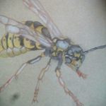 sketch for wasp tattoo 07.01.2020 №017 -wasp tattoo sketch- tatufoto.com