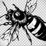 sketch for wasp tattoo 07.01.2020 №028 -wasp tattoo sketch- tatufoto.com