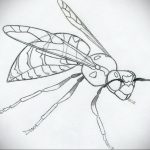 sketch for wasp tattoo 07.01.2020 №049 -wasp tattoo sketch- tatufoto.com