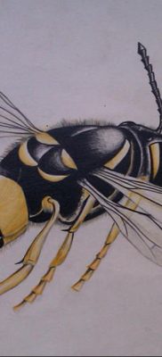 wasp tattoo sketch 07.01.2020 №038 -wasp tattoo sketch- tatufoto.com