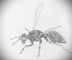 Фото тату с изображением осы в стиле sketch. Рисунок выполнен карандашом, с использованием тонких линий и штриховки. Небрежный и художественный стиль.