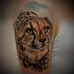 Фото тату Гепард 12.01.2020 №015 -cheetah tattoo- tatufoto.com