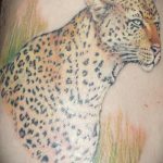 Фото тату Гепард 12.01.2020 №074 -cheetah tattoo- tatufoto.com