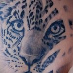 Фото тату Гепард 12.01.2020 №238 -cheetah tattoo- tatufoto.com