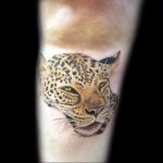 Фото тату Гепард 12.01.2020 №304 -cheetah tattoo- tatufoto.com