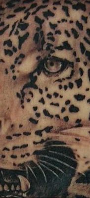 Фото тату Гепард 12.01.2020 №314 -cheetah tattoo- tatufoto.com