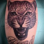 Фото тату Гепард 12.01.2020 №315 -cheetah tattoo- tatufoto.com