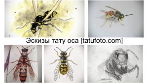 Коллаж из нескольких эскизов татуировок ос, выполненных в различных стилях: акварель, графика, реализм. Разнообразие дизайнов для вдохновения.