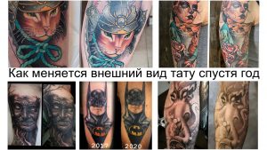 Фото тату: коллаж, демонстрирующий изменения внешнего вида различных татуировок через год после нанесения, включая кота, самурая, розу и другие.