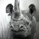 вариант эскиза тату носорог 02.02.2020 №1010 -rhino tattoo sketches- tatufoto.com