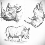 вариант эскиза тату носорог 02.02.2020 №1013 -rhino tattoo sketches- tatufoto.com