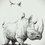 вариант эскиза тату носорог 02.02.2020 №1014 -rhino tattoo sketches- tatufoto.com