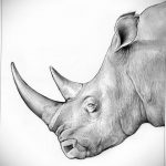 вариант эскиза тату носорог 02.02.2020 №1019 -rhino tattoo sketches- tatufoto.com