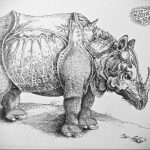 вариант эскиза тату носорог 02.02.2020 №1020 -rhino tattoo sketches- tatufoto.com