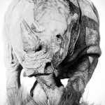 вариант эскиза тату носорог 02.02.2020 №1023 -rhino tattoo sketches- tatufoto.com