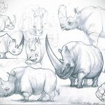 вариант эскиза тату носорог 02.02.2020 №1033 -rhino tattoo sketches- tatufoto.com