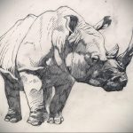 вариант эскиза тату носорог 02.02.2020 №1035 -rhino tattoo sketches- tatufoto.com