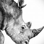 вариант эскиза тату носорог 02.02.2020 №1053 -rhino tattoo sketches- tatufoto.com