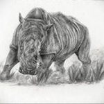 вариант эскиза тату носорог 02.02.2020 №1056 -rhino tattoo sketches- tatufoto.com