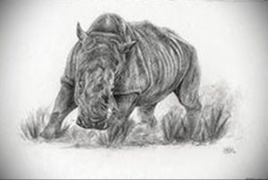 Черно-белый эскиз татуировки носорога, выполненный в реалистичном стиле с использованием карандашной штриховки.