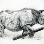 вариант эскиза тату носорог 02.02.2020 №1073 -rhino tattoo sketches- tatufoto.com