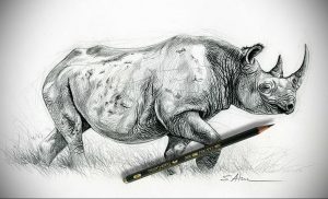 Черно-белый эскиз татуировки носорога, выполненный в технике графического рисунка с использованием карандаша и детализированной проработкой текстуры кожи.