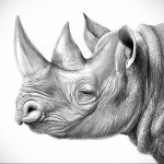 вариант эскиза тату носорог 02.02.2020 №1077 -rhino tattoo sketches- tatufoto.com