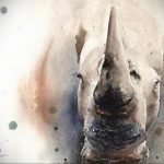 вариант эскиза тату носорог 02.02.2020 №1105 -rhino tattoo sketches- tatufoto.com