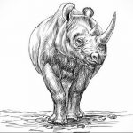 вариант эскиза тату носорог 02.02.2020 №1107 -rhino tattoo sketches- tatufoto.com