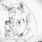 вариант эскиза тату носорог 02.02.2020 №1113 -rhino tattoo sketches- tatufoto.com