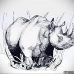 вариант эскиза тату носорог 02.02.2020 №1114 -rhino tattoo sketches- tatufoto.com