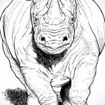 вариант эскиза тату носорог 02.02.2020 №1119 -rhino tattoo sketches- tatufoto.com