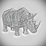 вариант эскиза тату носорог 02.02.2020 №1124 -rhino tattoo sketches- tatufoto.com