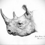 вариант эскиза тату носорог 02.02.2020 №1134 -rhino tattoo sketches- tatufoto.com