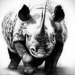 вариант эскиза тату носорог 02.02.2020 №1135 -rhino tattoo sketches- tatufoto.com