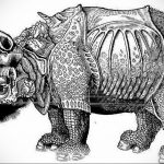 вариант эскиза тату носорог 02.02.2020 №1144 -rhino tattoo sketches- tatufoto.com