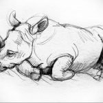 вариант эскиза тату носорог 02.02.2020 №1145 -rhino tattoo sketches- tatufoto.com