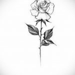 тату белая роза для девушки 04.02.2020 №037 -rose tattoo for girl- tatufoto.com