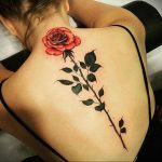 тату роза на спине девушки 04.02.2020 №015 -rose tattoo for girl- tatufoto.com