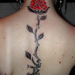 тату роза на спине девушки 04.02.2020 №019 -rose tattoo for girl- tatufoto.com