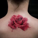тату роза на спине девушки 04.02.2020 №022 -rose tattoo for girl- tatufoto.com