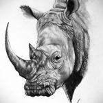 фото эскиза тату носорог 02.02.2020 №004 -rhino tattoo sketches- tatufoto.com