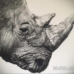 фото эскиза тату носорог 02.02.2020 №012 -rhino tattoo sketches- tatufoto.com