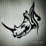 фото эскиза тату носорог 02.02.2020 №013 -rhino tattoo sketches- tatufoto.com