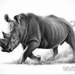 фото эскиза тату носорог 02.02.2020 №018 -rhino tattoo sketches- tatufoto.com
