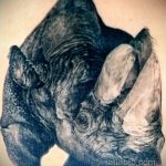 фото эскиза тату носорог 02.02.2020 №023 -rhino tattoo sketches- tatufoto.com